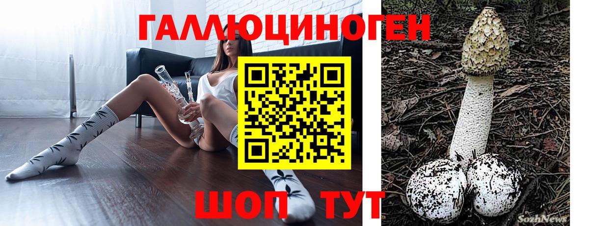 Галлюциногенные грибы Psilocybe  Вход с VPN  Псилоцибиновые грибы Psilocybine cubensis  Стерлитамак 